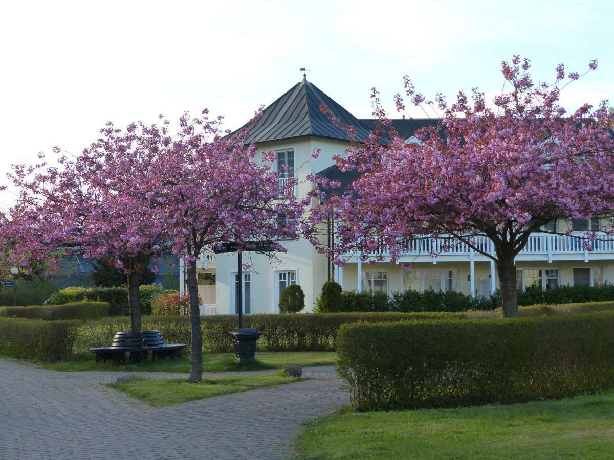 Duenenpark In Binz Fuer Eltern Und Kind Daire Dış mekan fotoğraf